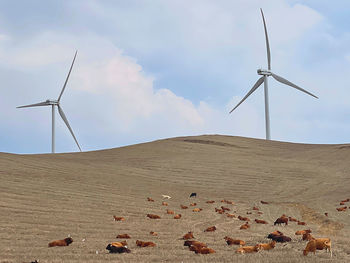 Windmills on field against sky