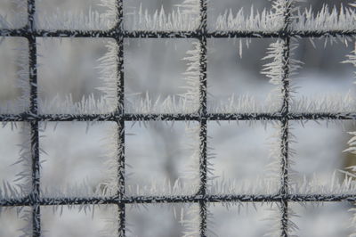 Full frame shot of metal grate