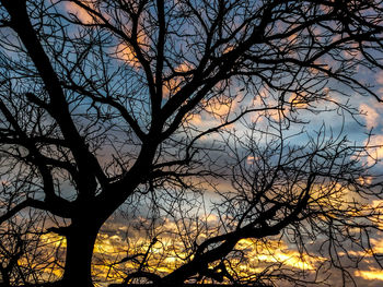 Silhouette bare tree against sky during sunset