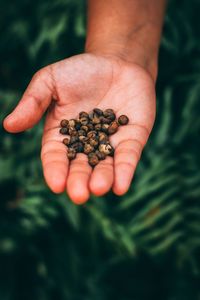 Close-up of hand holding raw coffee beans