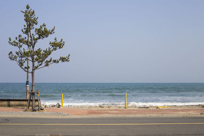 Scenic view of beach against clear sky