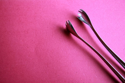 High angle view of pink flower on table