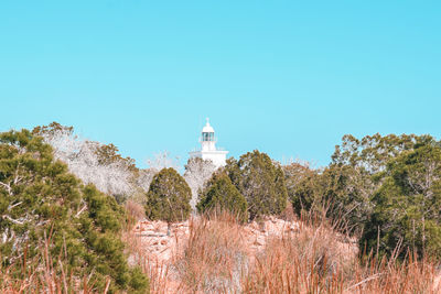 Plants by lighthouse against clear blue sky