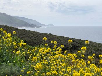 Scenic view of sea and mountains against sky