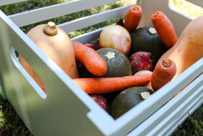 Close-up of food