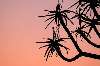 Low angle view of silhouette palm tree against romantic sky