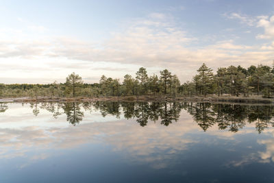 Lake at viru raba or bog at lahemaa national park in autumn morning