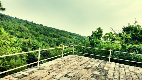 View of staircase with trees in background