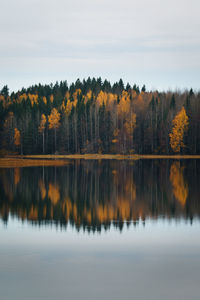 Scenic view of lake against sky during autumn