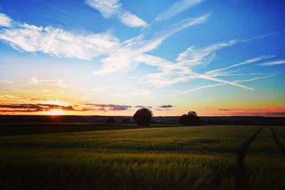 Scenic view of field against sky during sunset