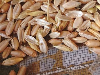 Close-up of wheat grains