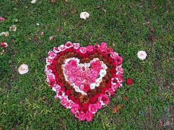 High angle view of heart shape on grass