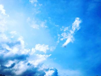 Low angle view of bird flying in sky