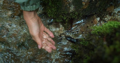 Low section of woman in water