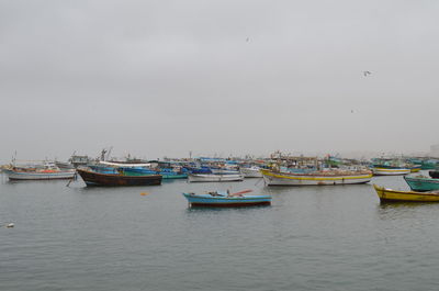 Fishing boats moored at harbor against sky