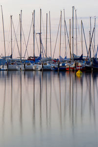 Sailboats moored in harbor