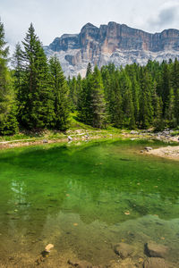 Scenic view of lake by trees against mountain