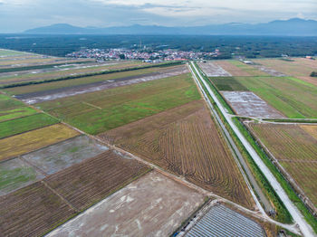 High angle view of agricultural field