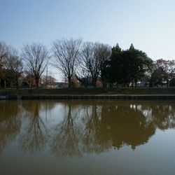 Reflection of trees in lake against sky