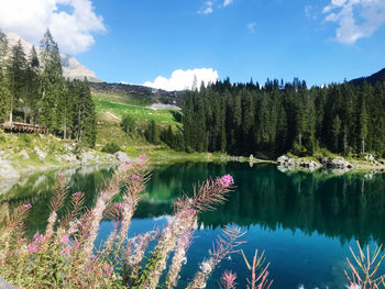 Scenic view of lake by trees against sky