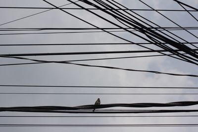 Low angle view of bird perching on cable against sky