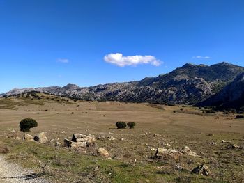 Scenic view of field and mountains against blue sky