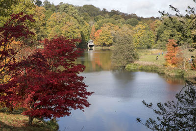 Tree by lake against sky during autumn