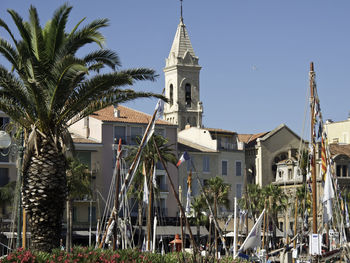 Palm trees and buildings against sky