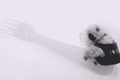 Close-up of child over white background