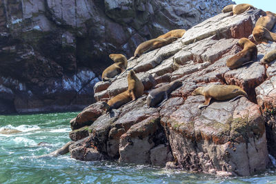 High angle view of sea in rock formation