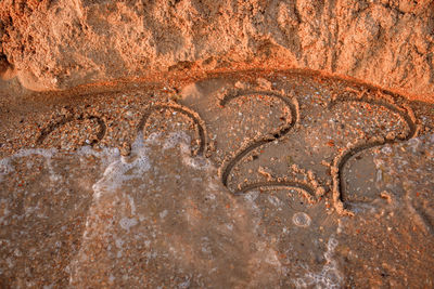 Close-up of text on rock