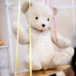 Close-up of stuffed toy
