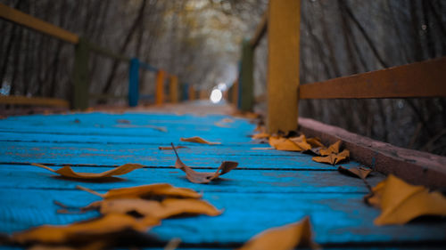 Close-up of dry leaves on wood