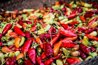 Close-up of red chili peppers