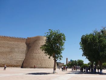 People at park against clear blue sky