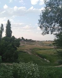 Scenic view of field against sky