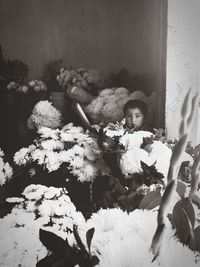 Portrait of boy with toy on plant