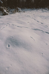 High angle view of snow