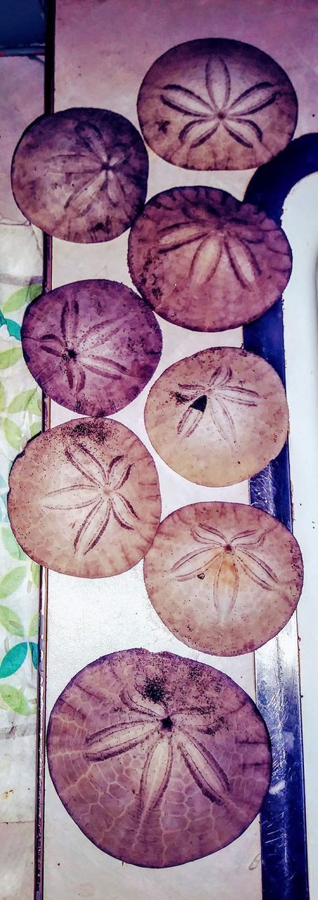 CLOSE-UP OF BREAD IN PLATE