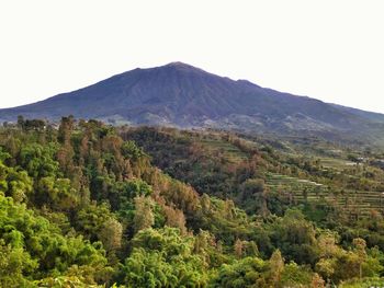 Scenic view of landscape against clear sky