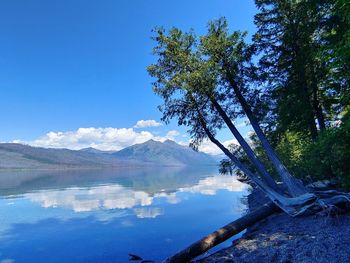 Scenic view of lake against blue sky