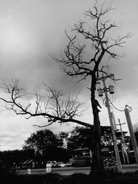 Bare tree against sky in city