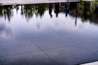 Reflection of trees in water