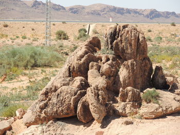 Rock formation on land against mountain