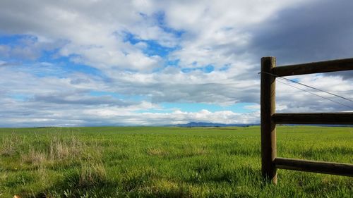 Scenic view of field against sky