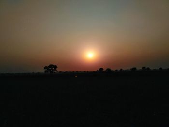 Silhouette trees on field against clear sky during sunset