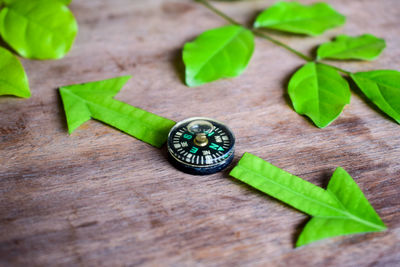 Directly above shot of navigational compass with leaves on table