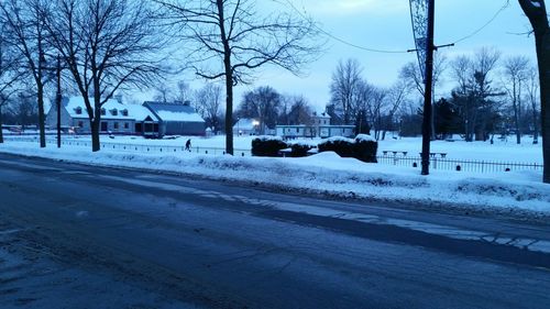 Bare trees on snow covered landscape