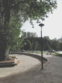 Street light by footpath in park against clear sky