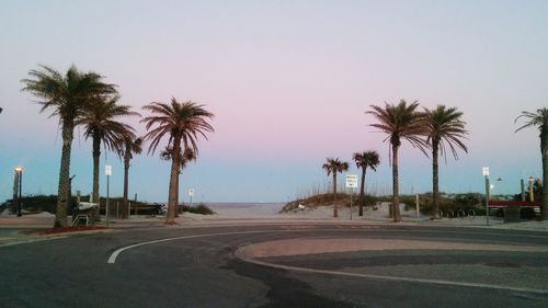 Palm trees by road against clear sky